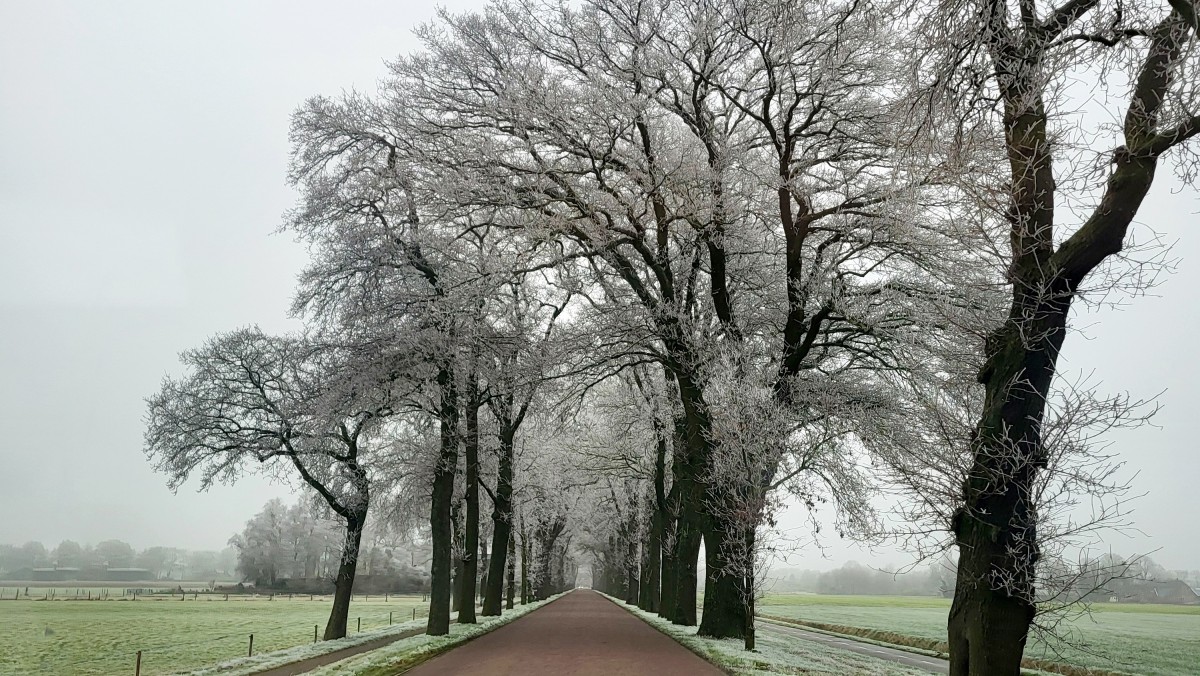 Pictures of ベッド＆ブレックファスト・コンフォート