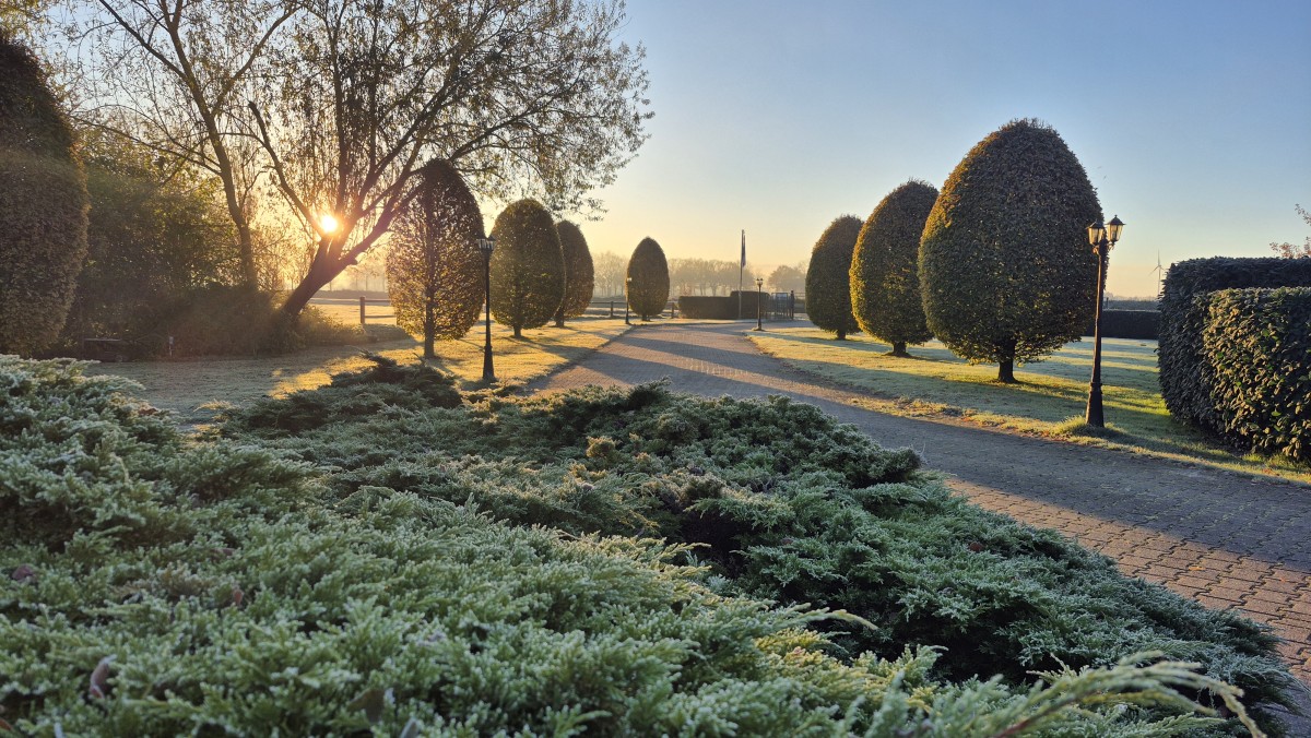 Pictures of ベッド＆ブレックファスト・コンフォート