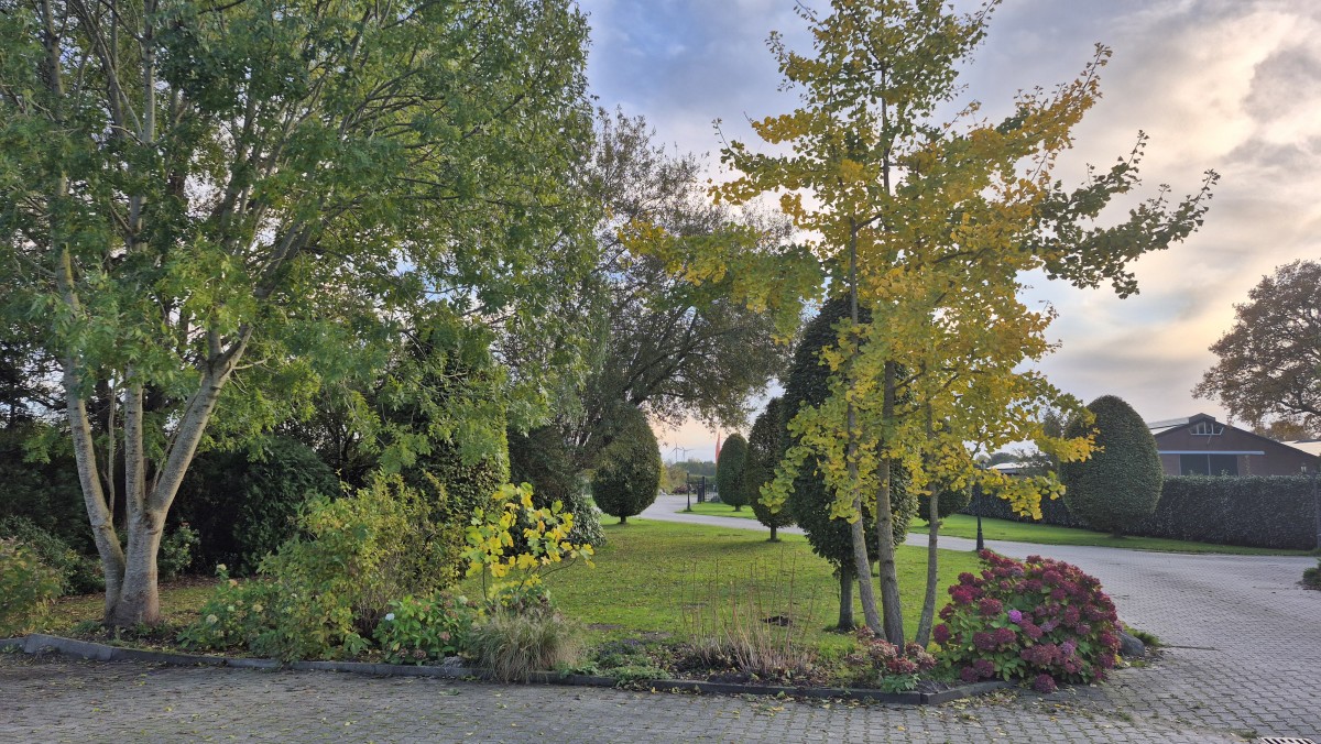 Pictures of ベッド＆ブレックファスト・コンフォート