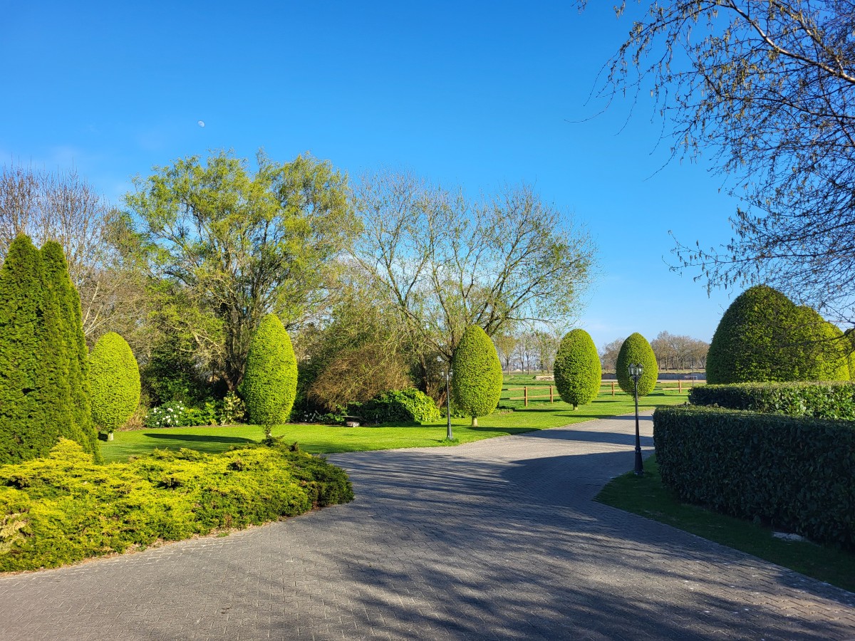 Afbeelding van Wellness B&B