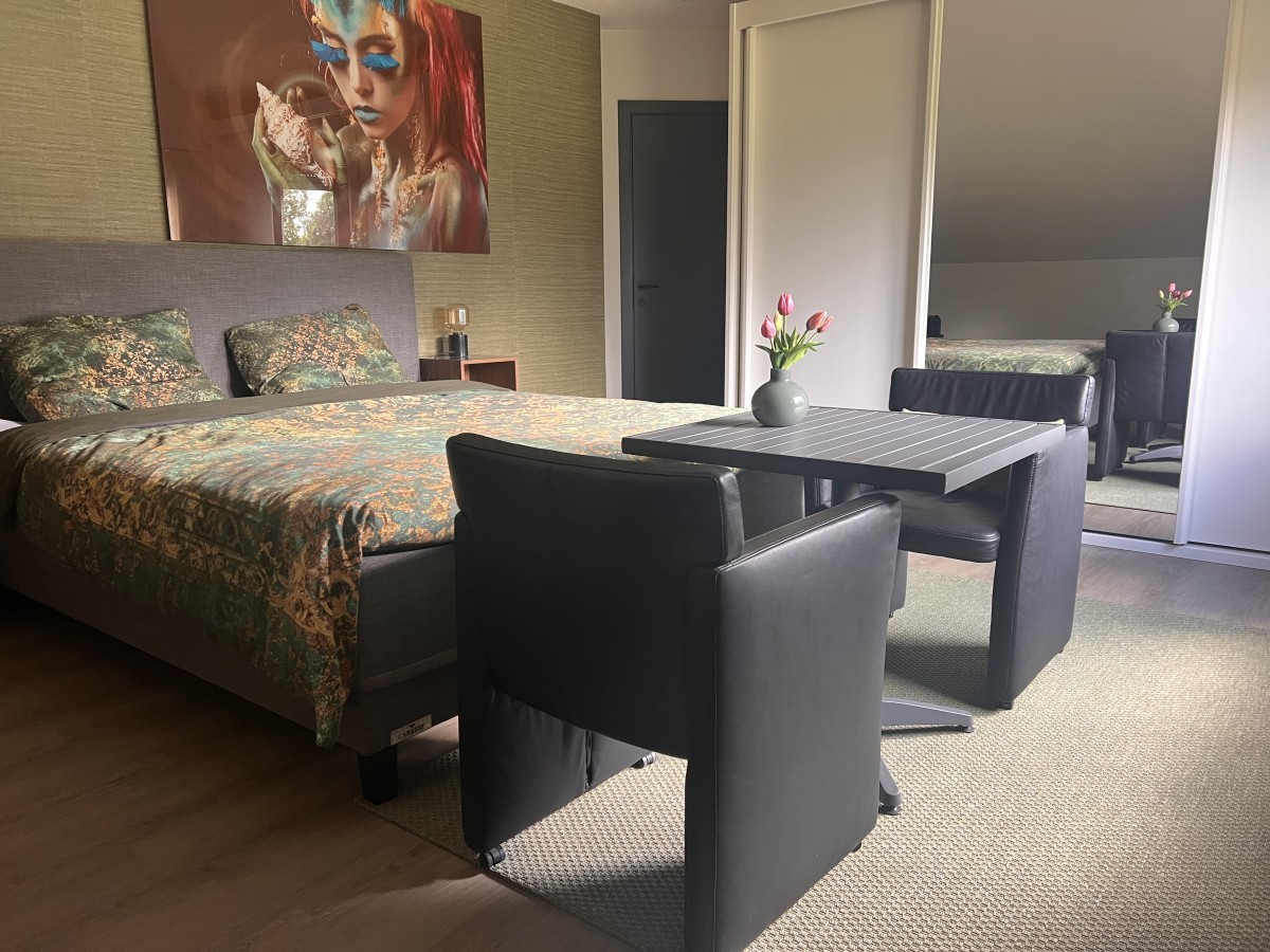 Afbeelding van Kamer met eigen luxe badkamer