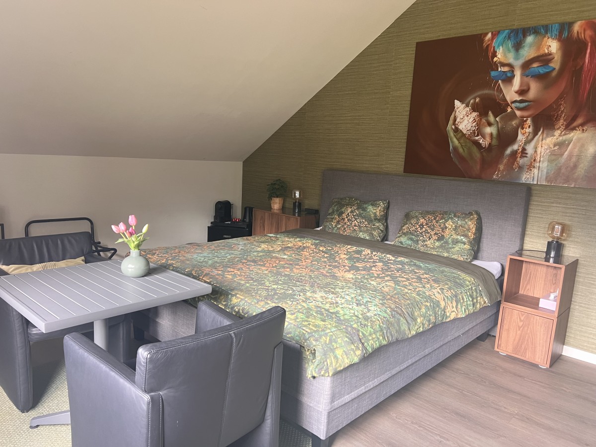 Afbeelding van Kamer met eigen luxe badkamer