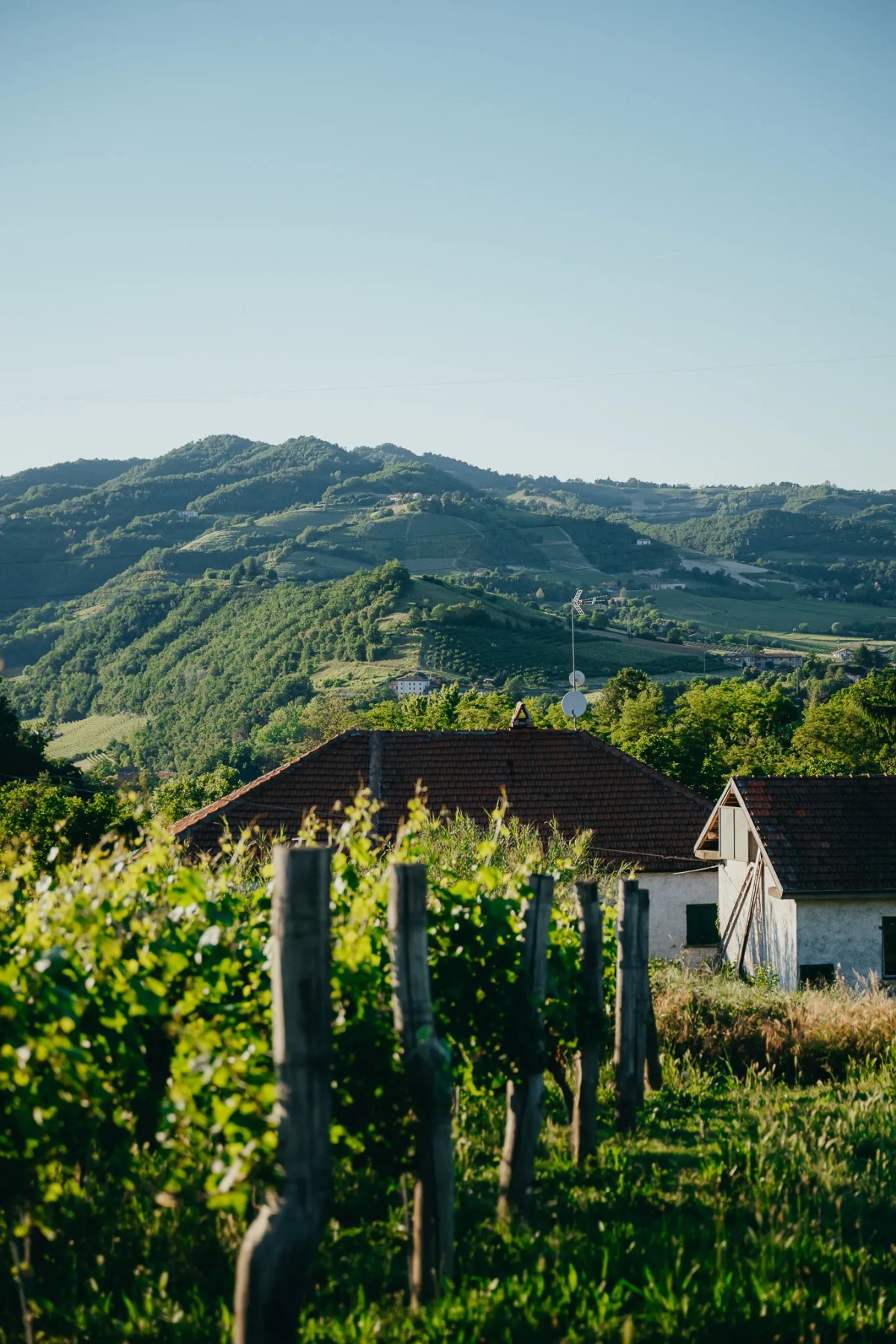 Pictures of La Nocciola