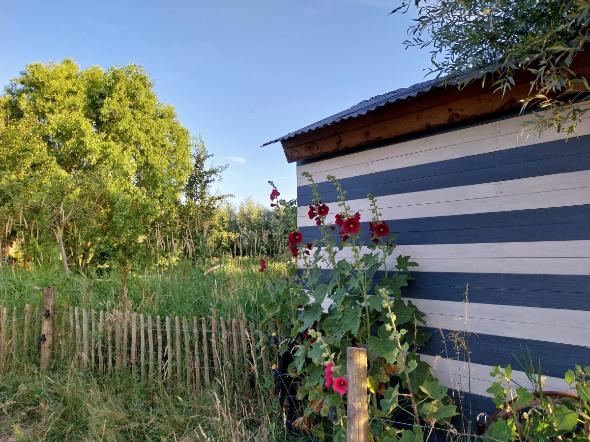 Afbeelding van Puur Natuur Roulotte;  huisje aan de waterkant.