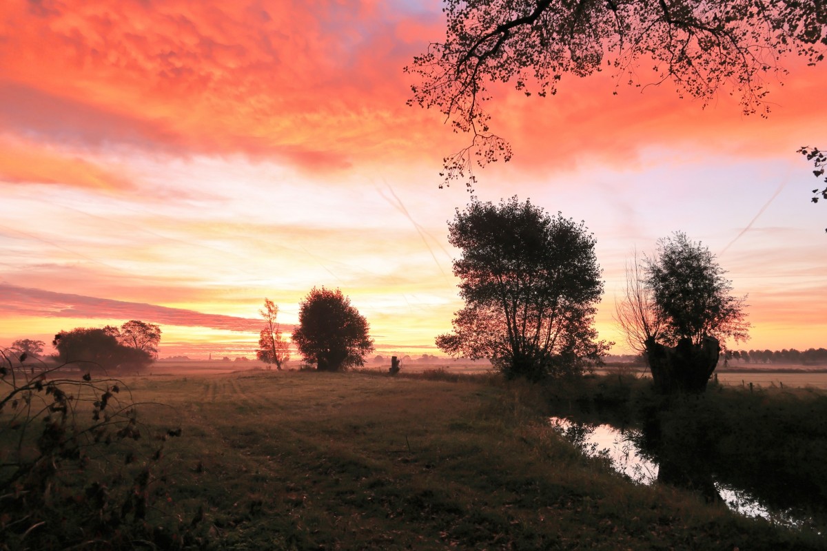 Afbeelding van PUUR NATUUR +++