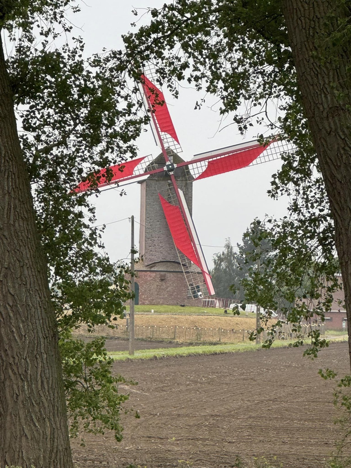 Afbeelding van PUUR NATUUR +++