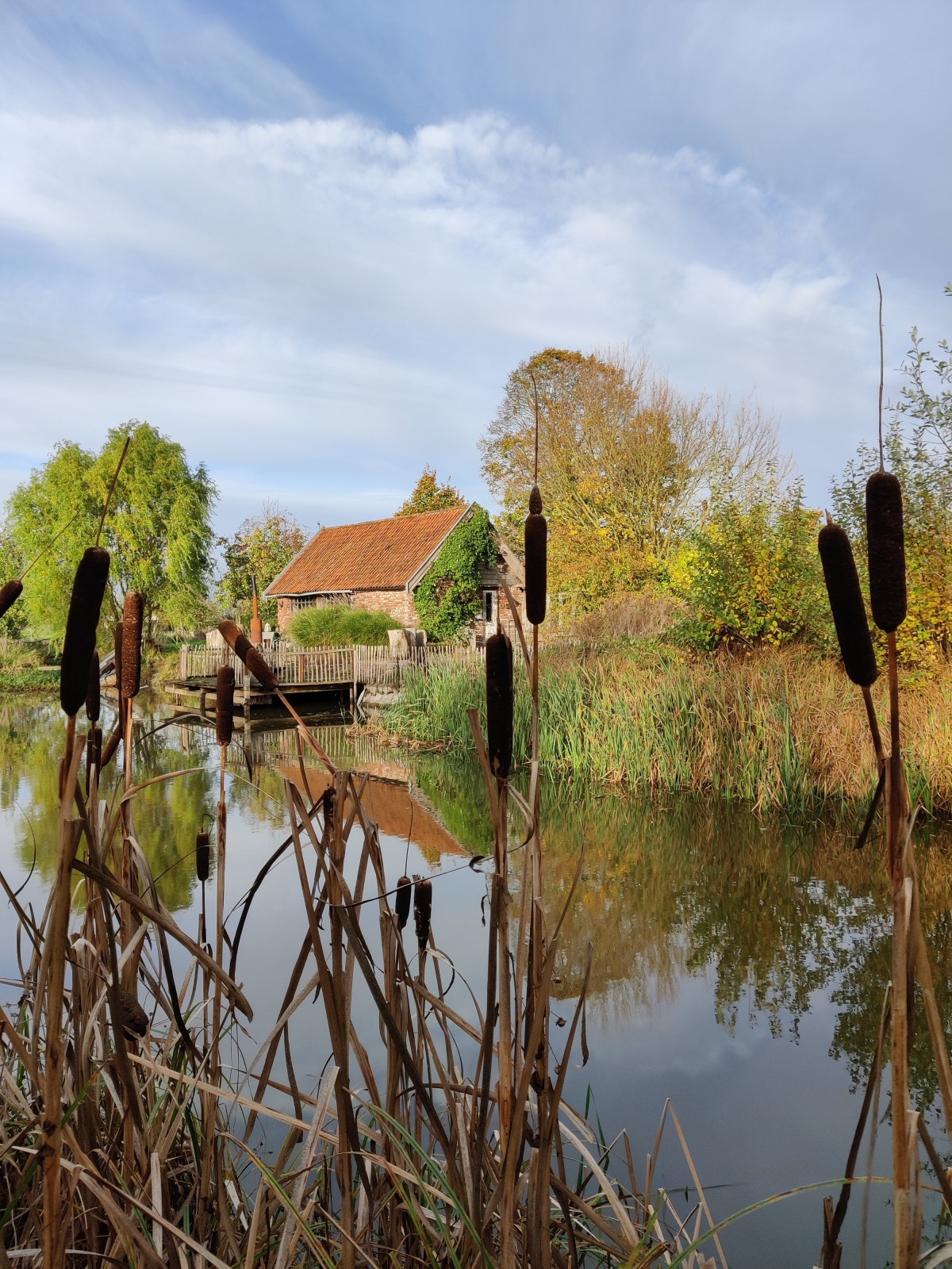 Afbeelding van PUUR NATUUR +++