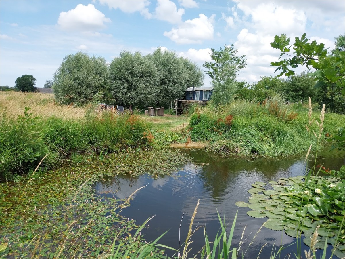 Afbeelding van PUUR NATUUR +++
