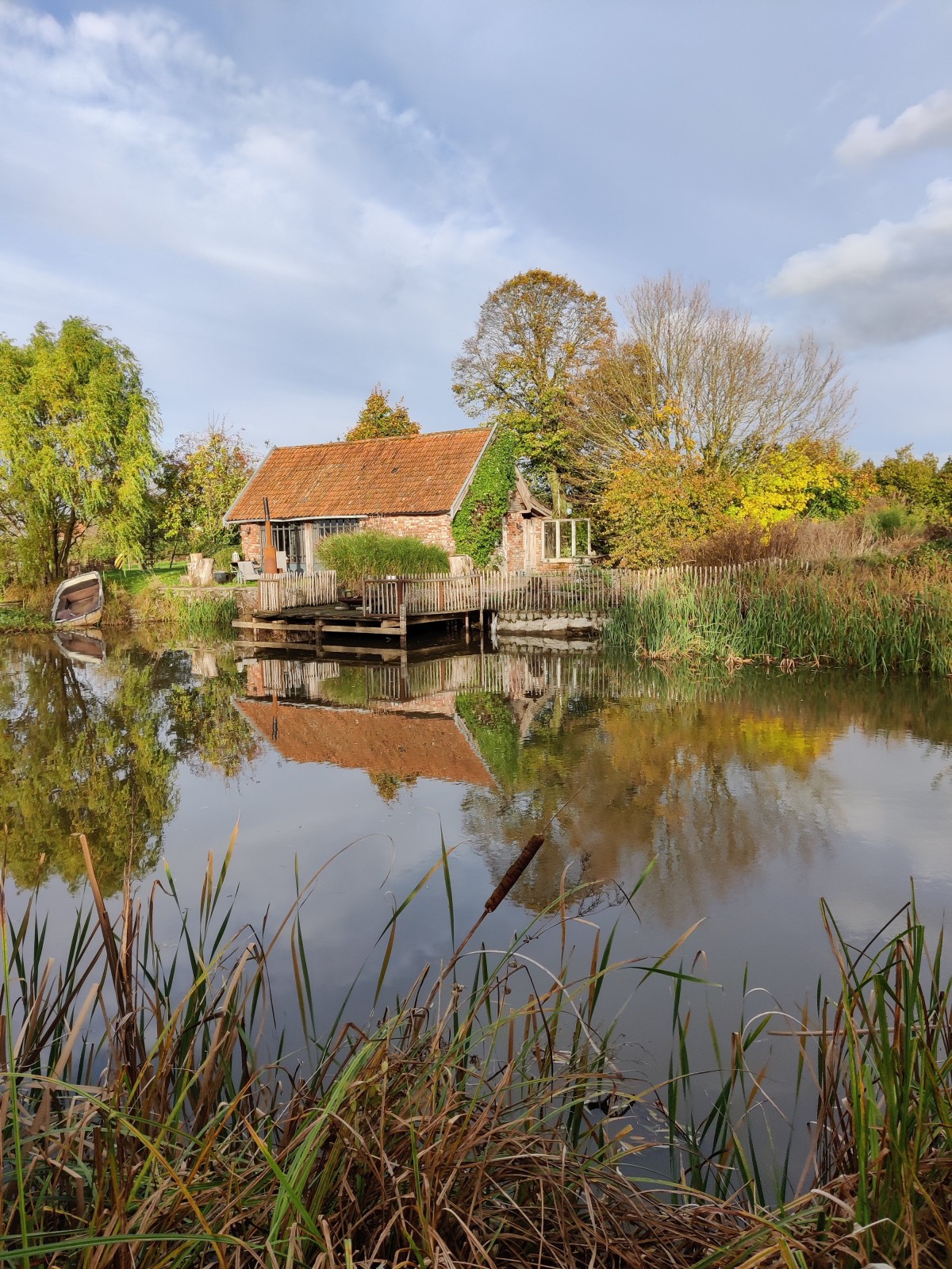 Afbeelding van PUUR NATUUR +++
