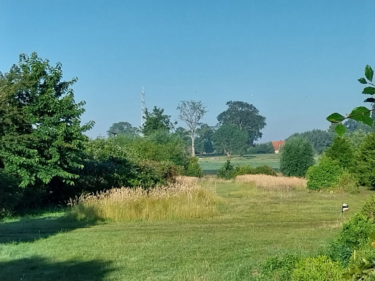 Afbeelding van PUUR NATUUR +++