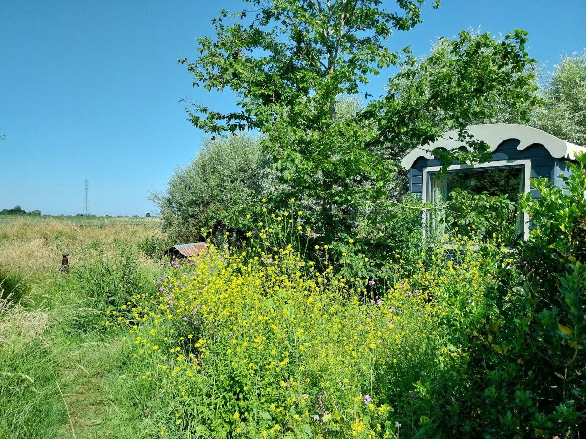 Afbeelding van PUUR NATUUR +++
