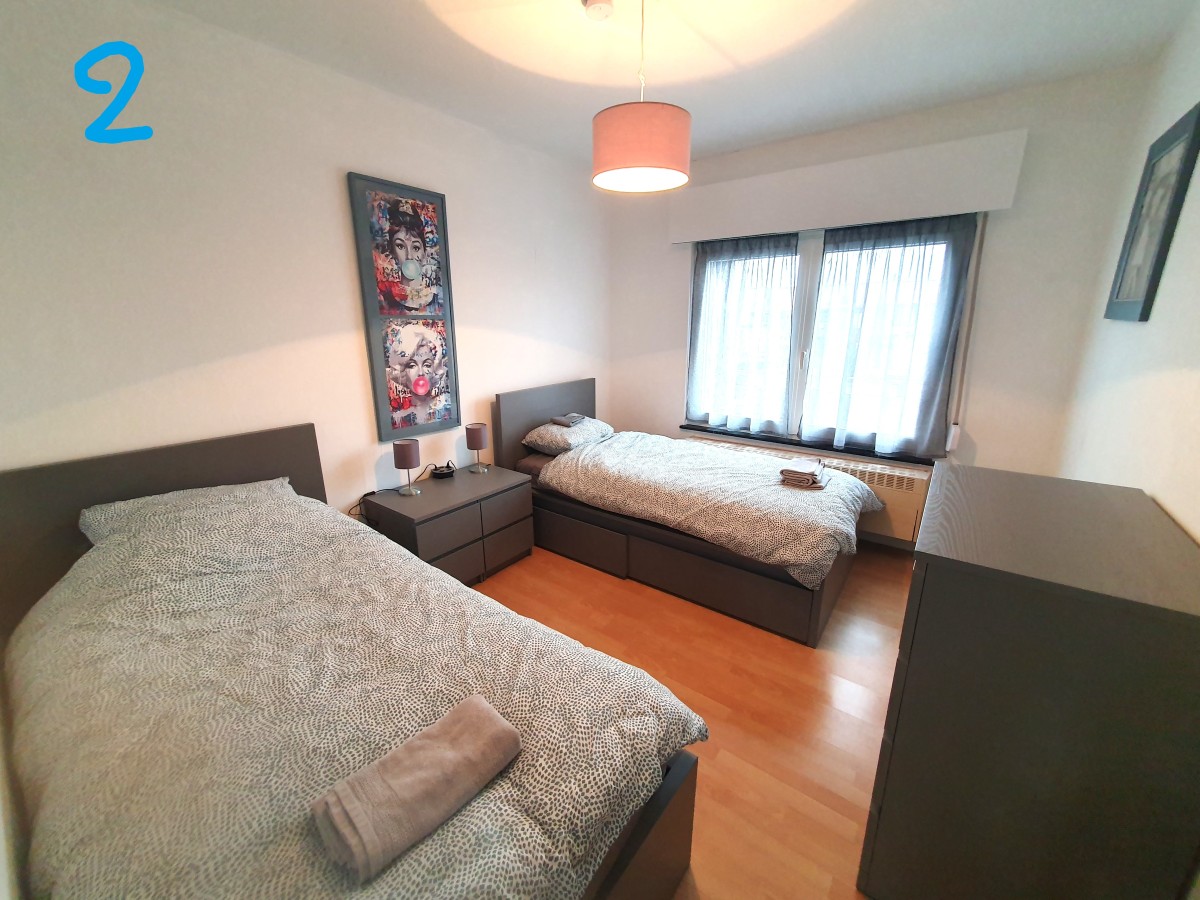 Afbeelding van Mazzimmo