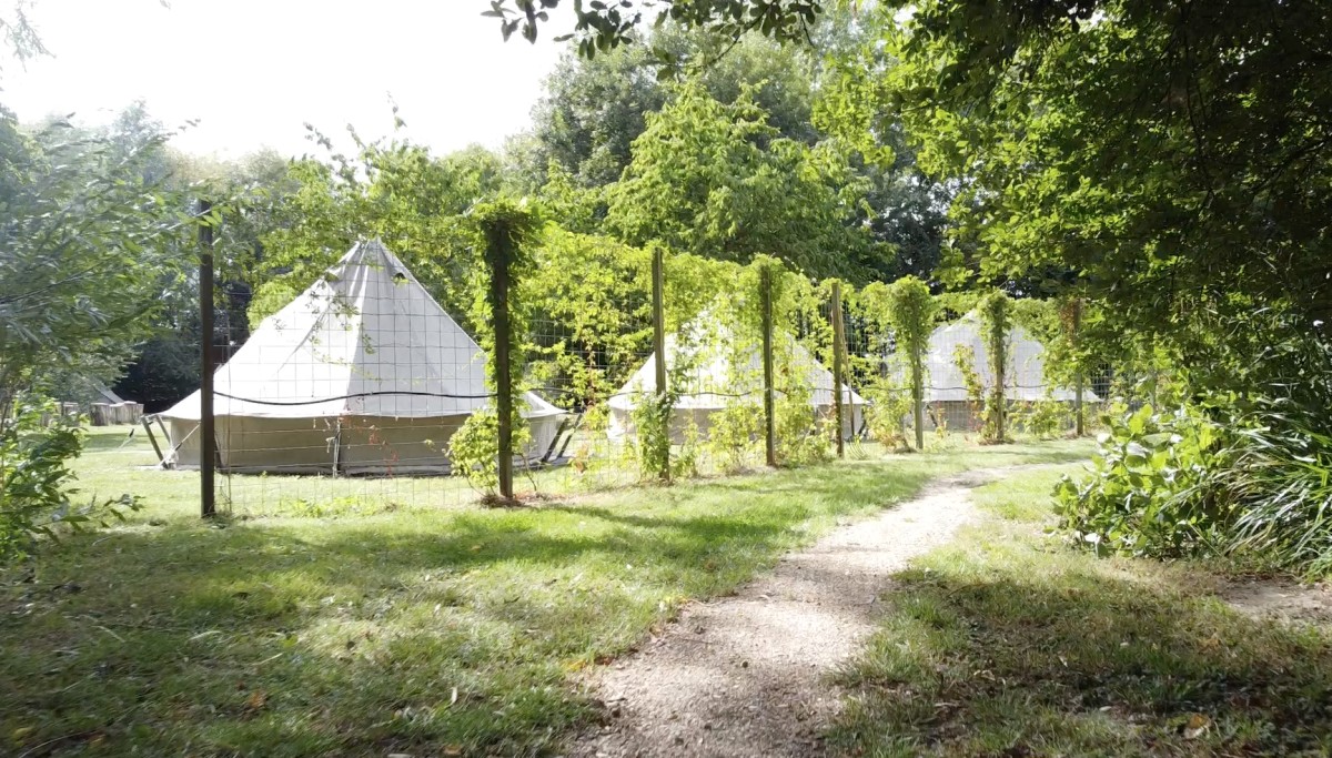 Afbeelding van Glamping-tent