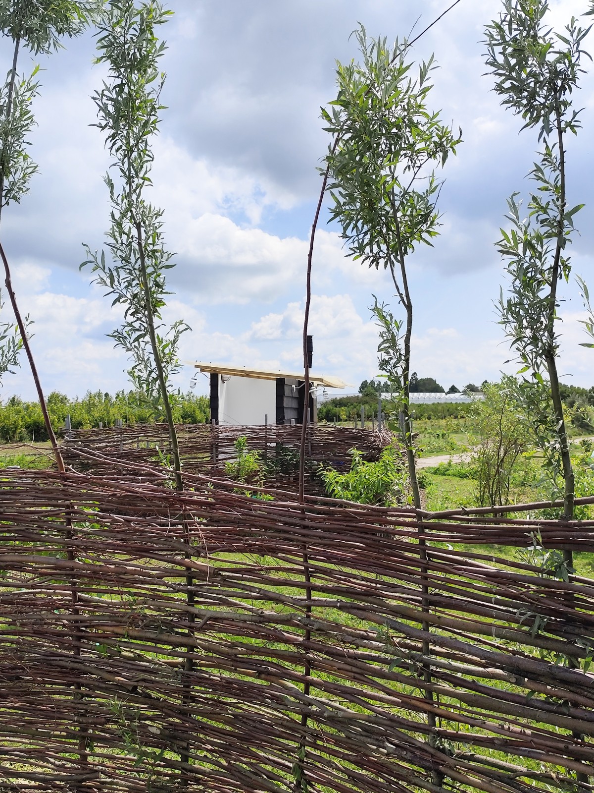 Afbeelding van KOPERWIEK | Ingerichte 2-persoons Bell tent