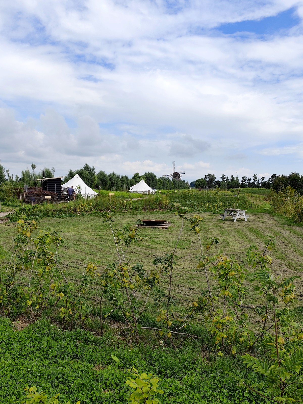 Afbeelding van FAZANT | Ingerichte 4-persoons Bell tent