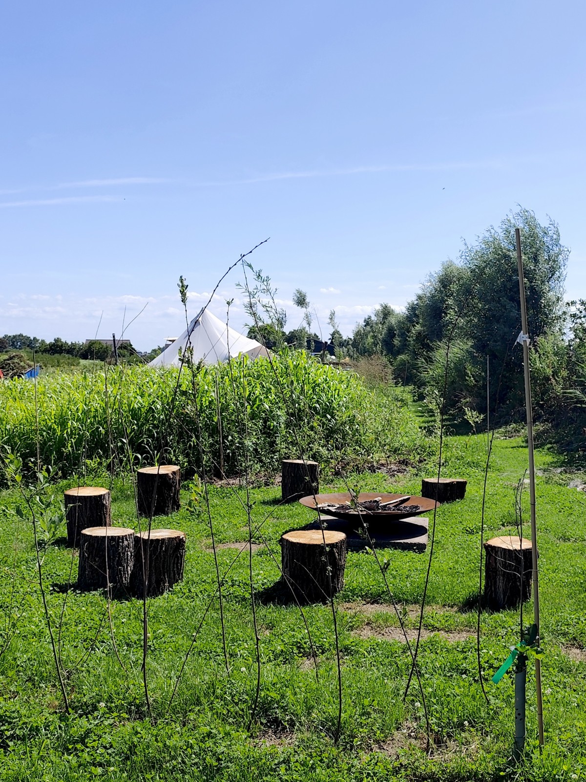 Afbeelding van FAZANT | Ingerichte 4-persoons Bell tent