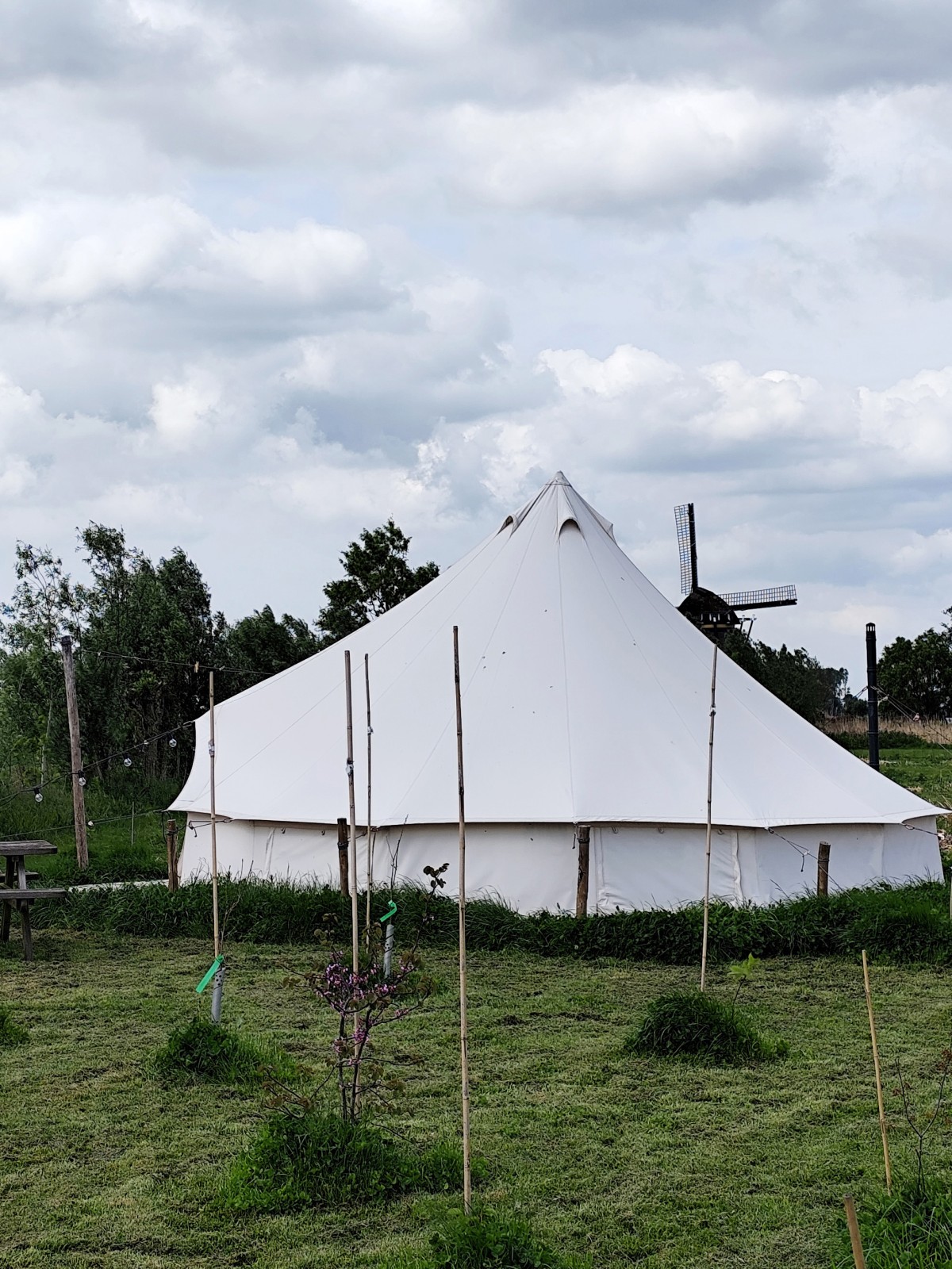 Afbeelding van FAZANT | Ingerichte 4-persoons Bell tent