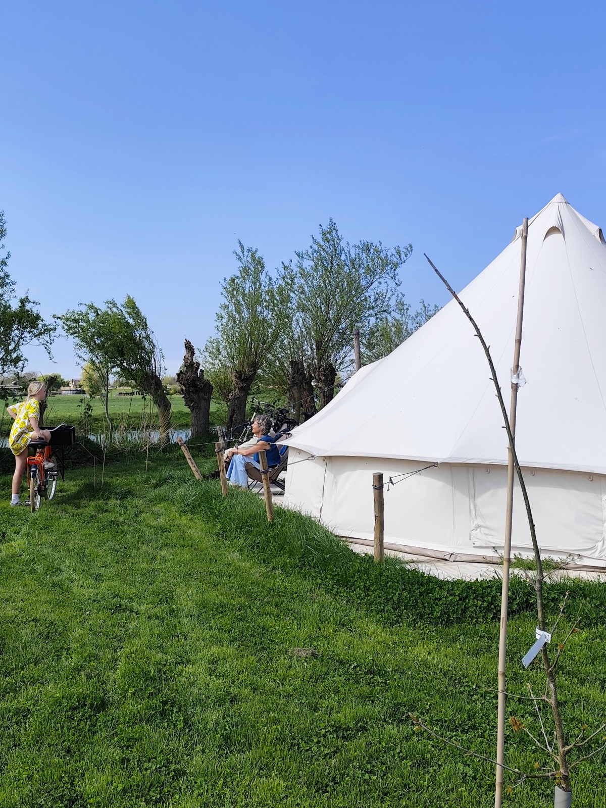 Afbeelding van FAZANT | Ingerichte 4-persoons Bell tent