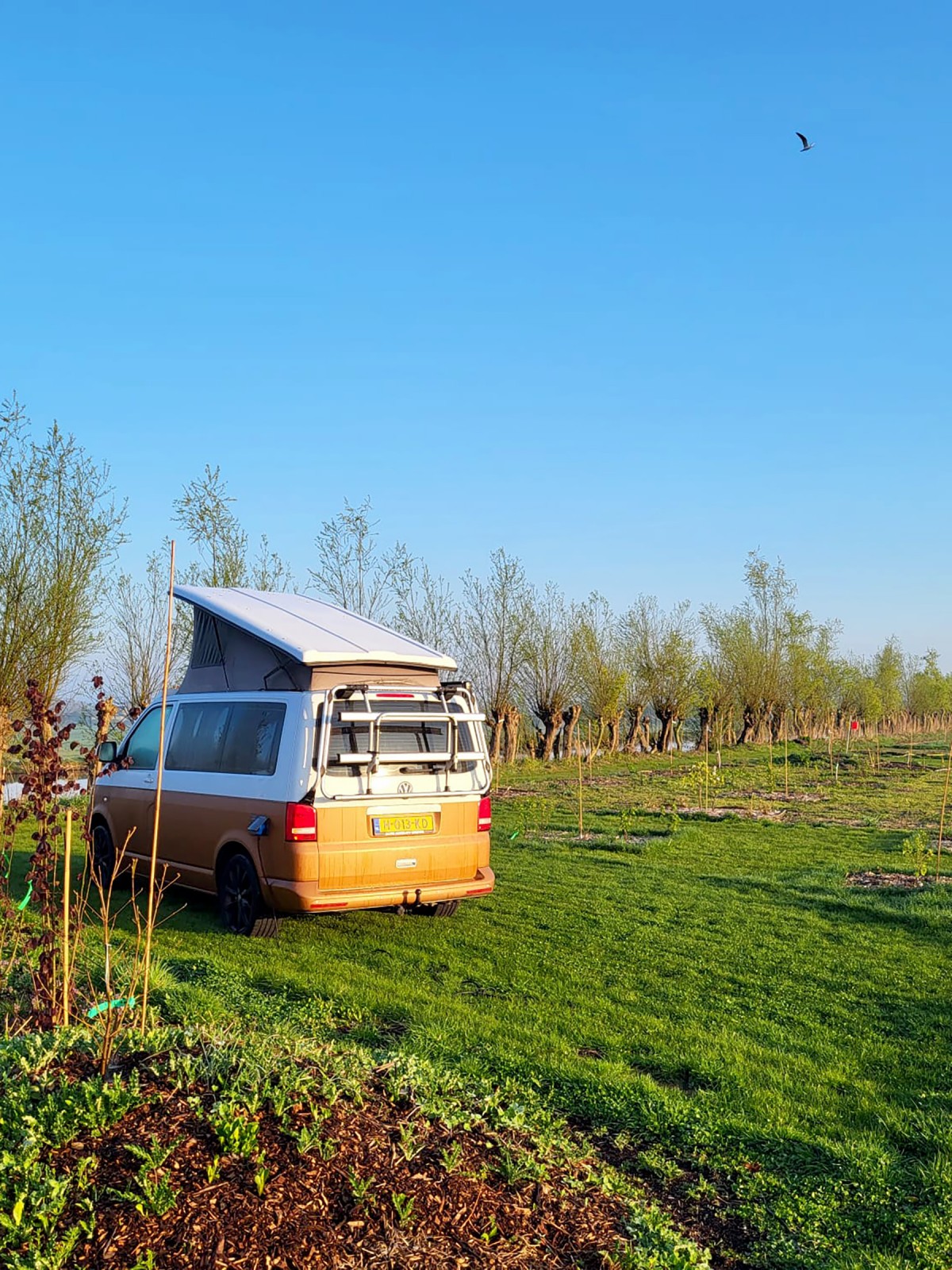 Afbeelding van GRUTTO | caravan (max 6m),buscamper (max 2000kg)