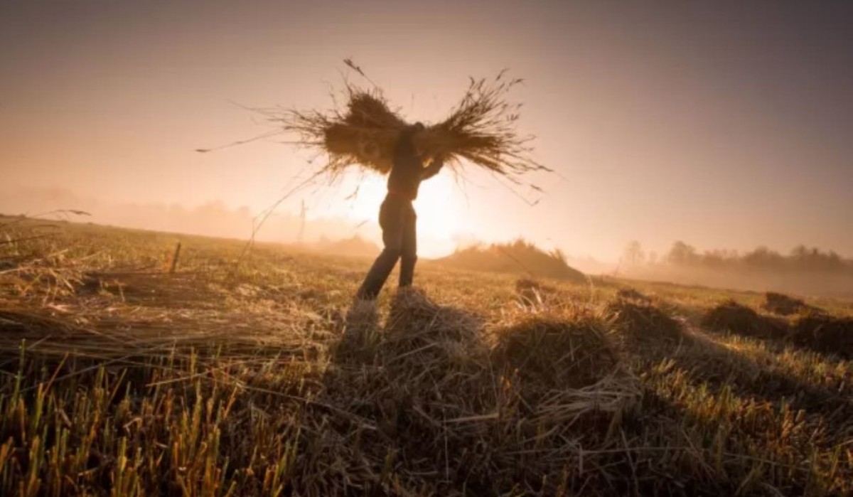 Afbeelding van Deluxe Appartement