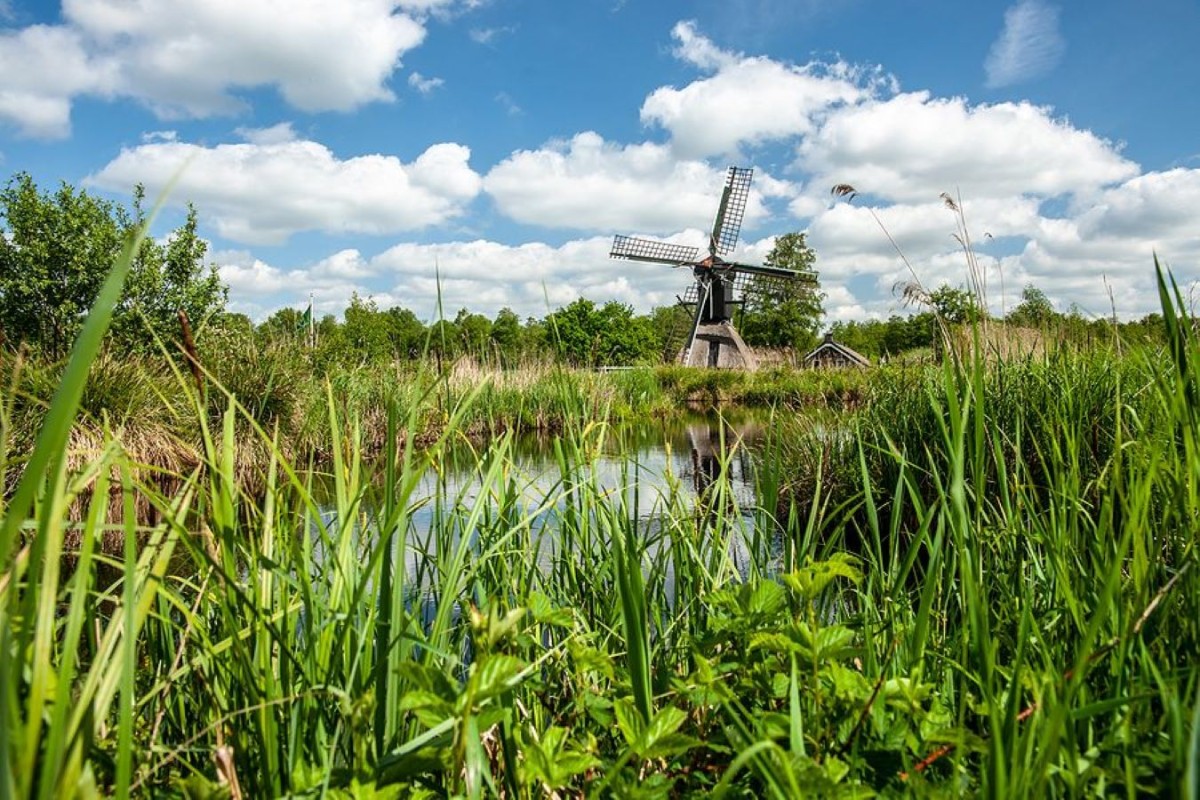 Afbeelding van Deluxe Appartement