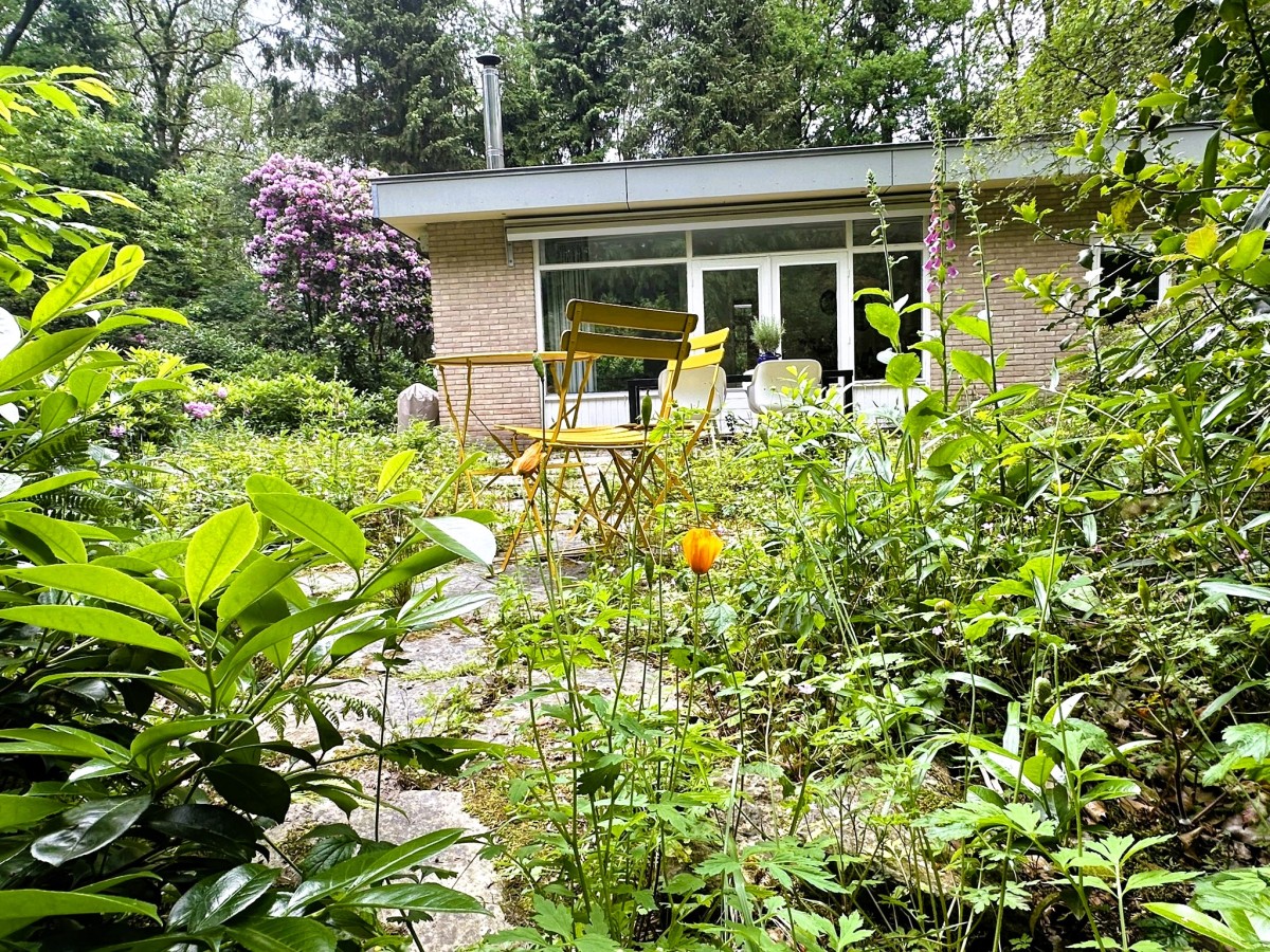 Afbeelding van Boshuisje Wateren II