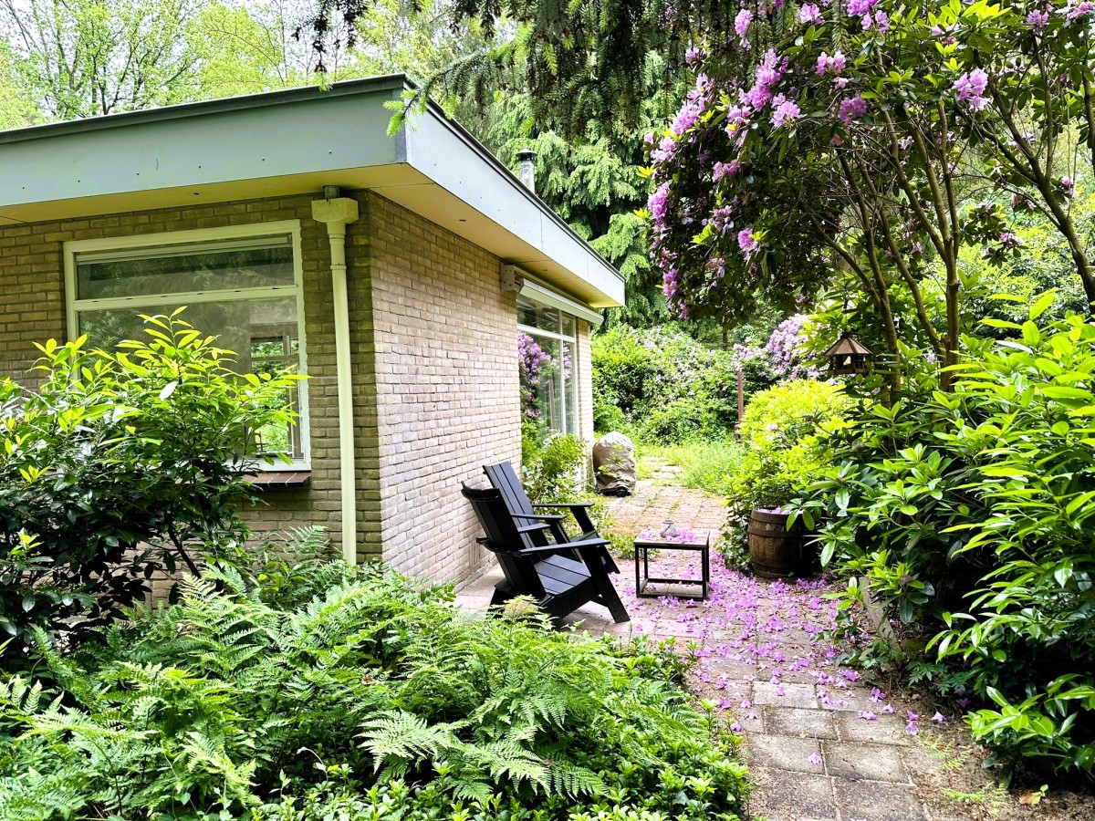 Afbeelding van Boshuisje Wateren II