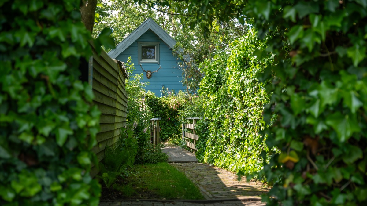 Afbeelding van Vakantiehuis Vrijburg
