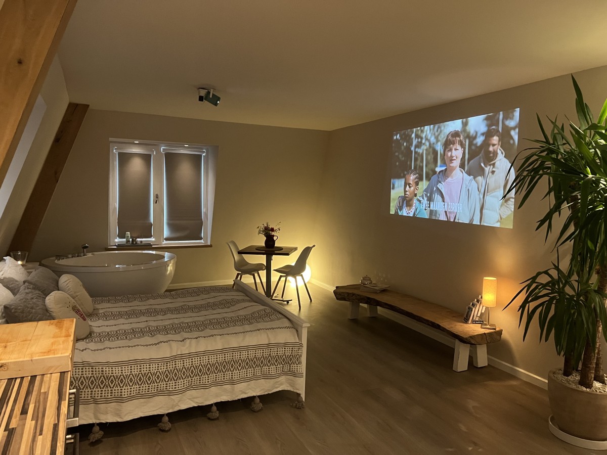 Afbeelding van Luxe Spa met Sauna, Bad & Bioscoop