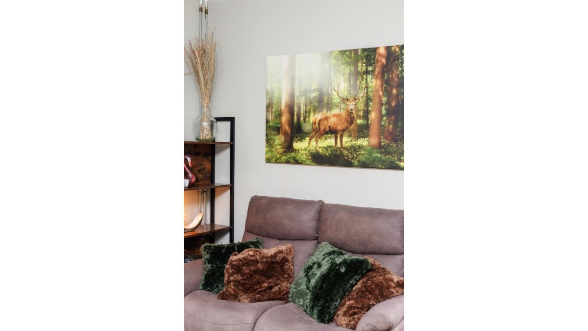 Afbeelding van Studio Ree