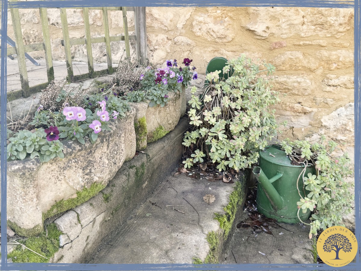 Pictures of L'Iris - Gîte for 2 Persons