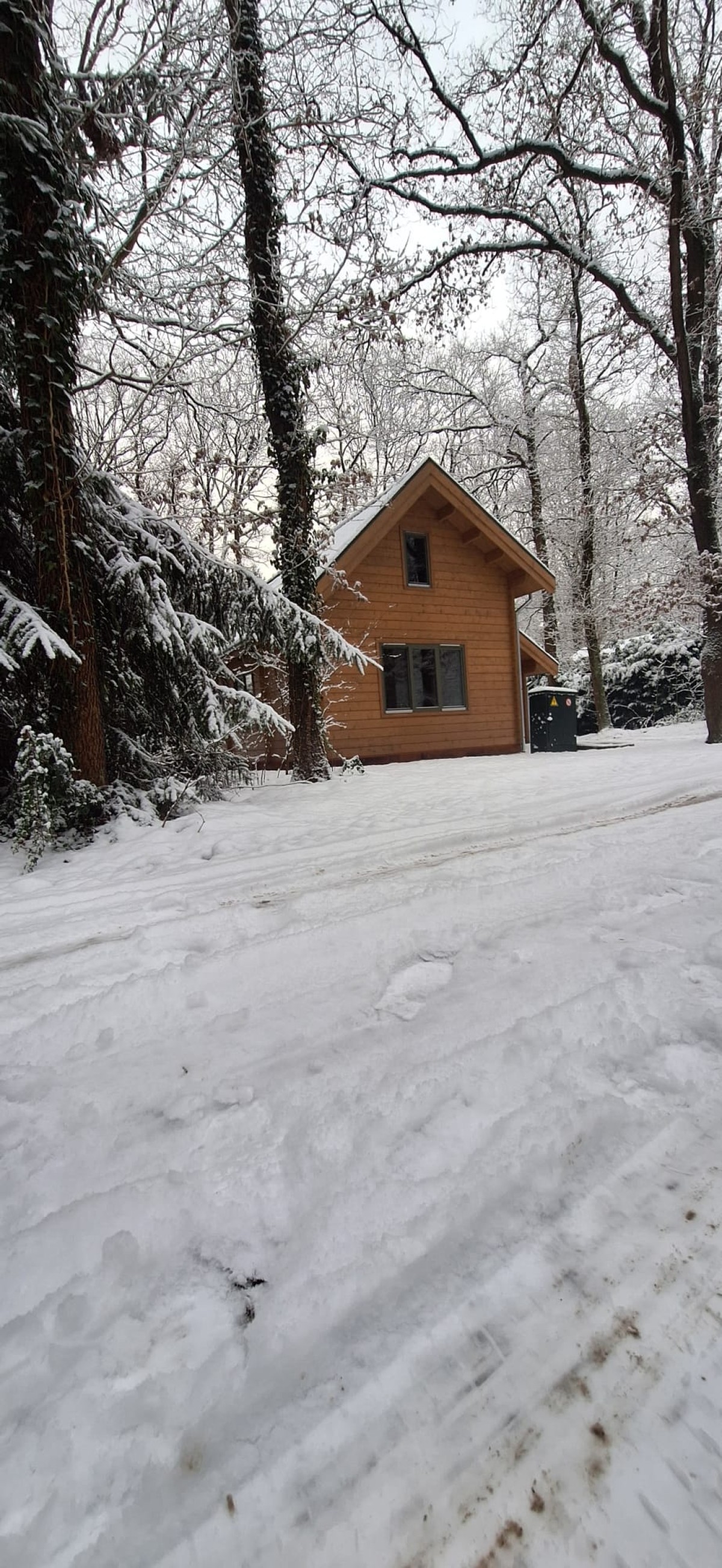 Afbeelding van Jesse's Log Cabin