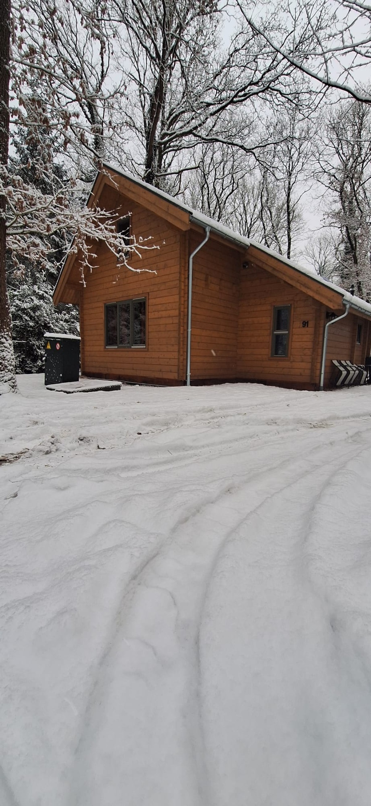 Afbeelding van Jesse's Log Cabin