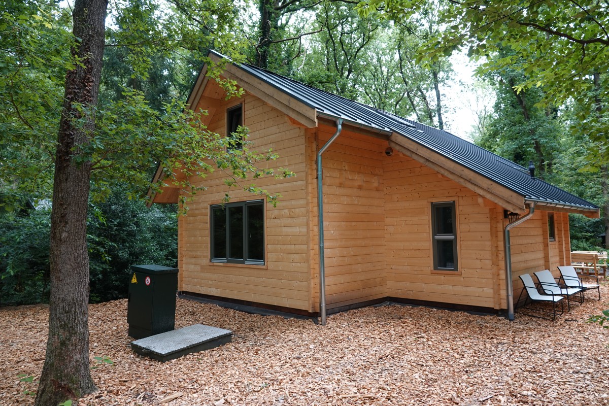 Afbeelding van Jesse's Log Cabin