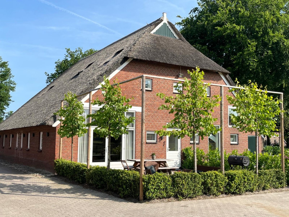 Afbeelding van Het Paarse Paard Schoonloo