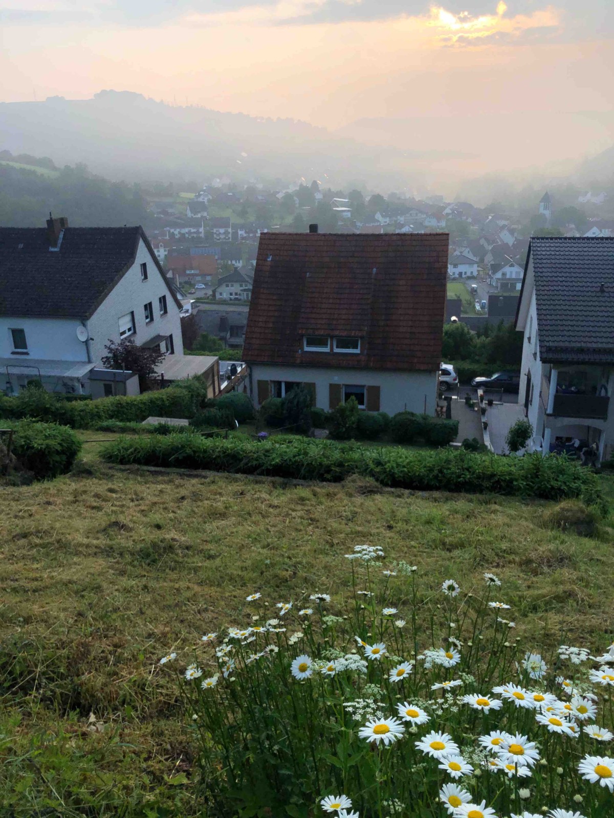 Bild von Am Schönste Aussicht