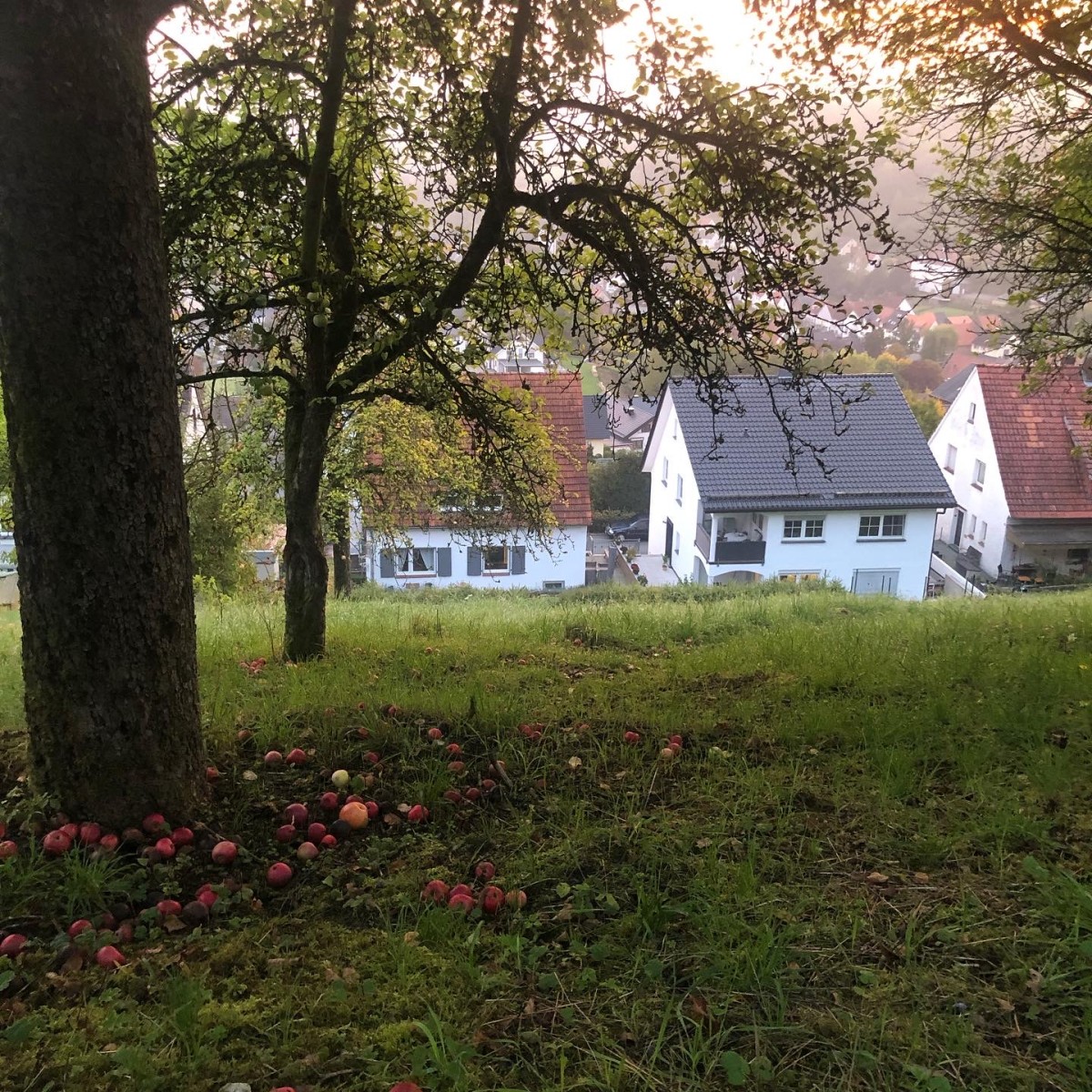 Bild von Am Schönste Aussicht