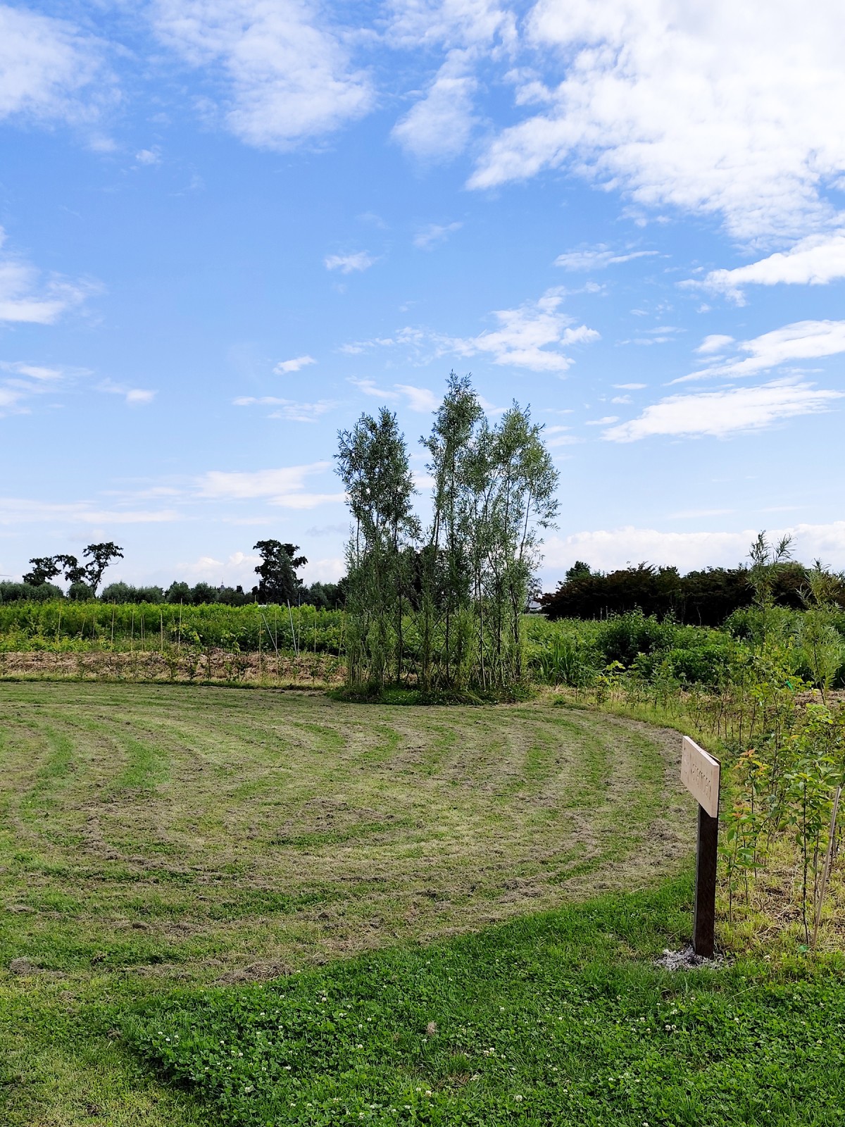 Afbeelding van WATERHOEN | Kampeerplaats, tent