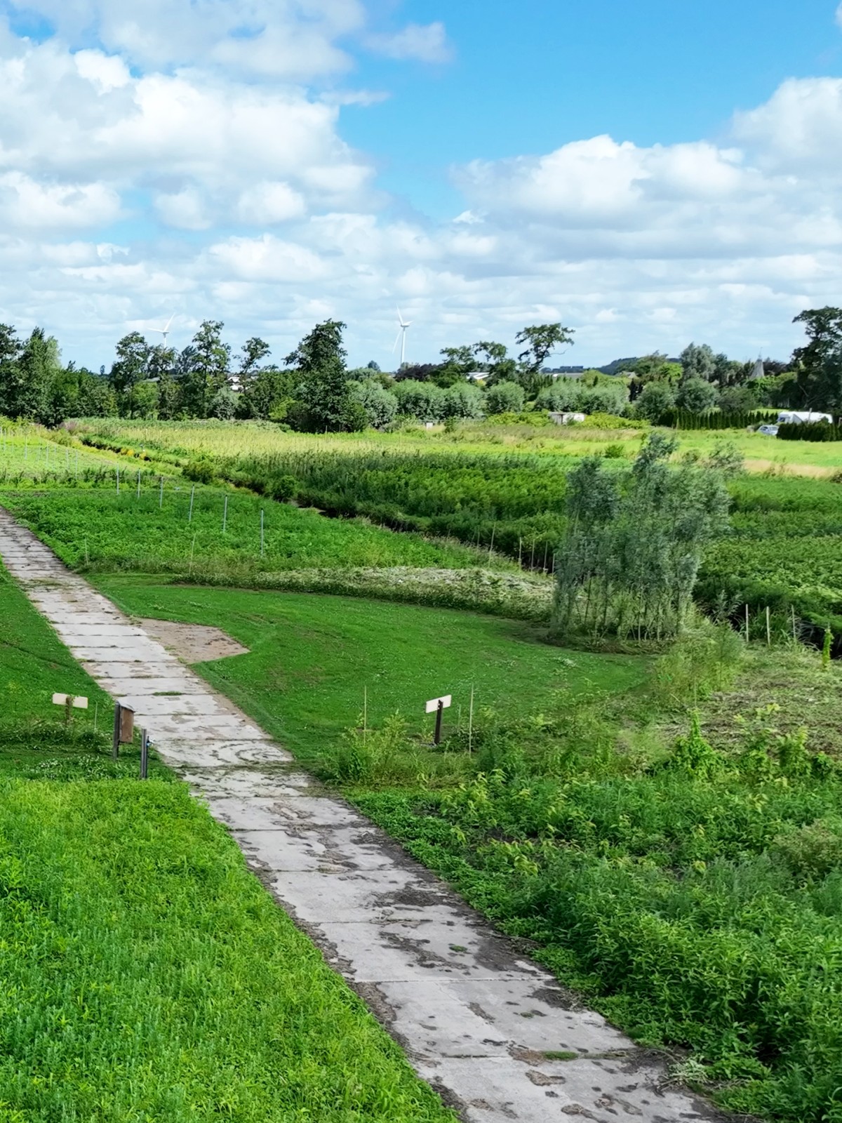 Afbeelding van WATERHOEN | Kampeerplaats, tent