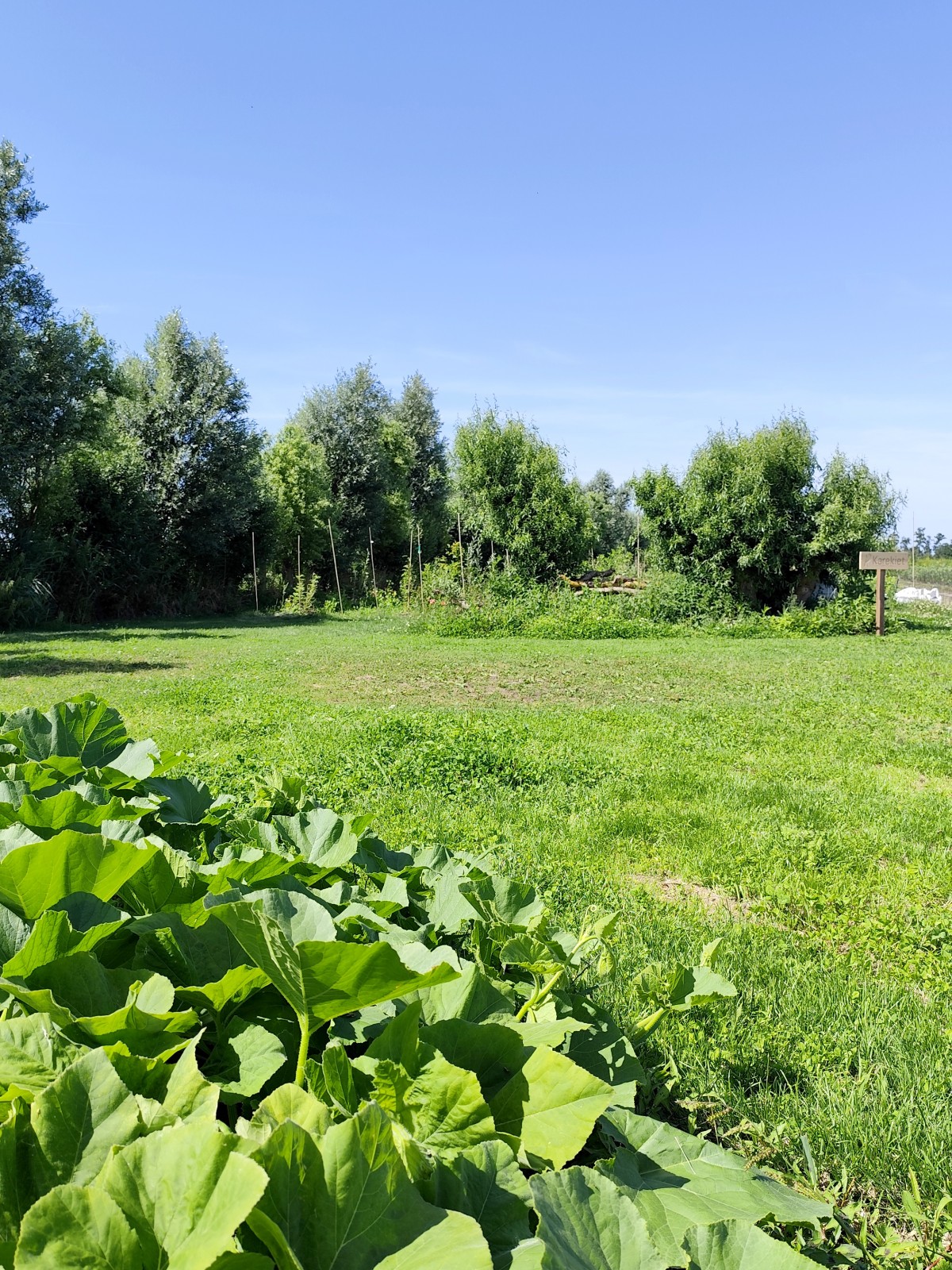 Afbeelding van KAREKIET | Kampeerplaats camper tot 3500kg