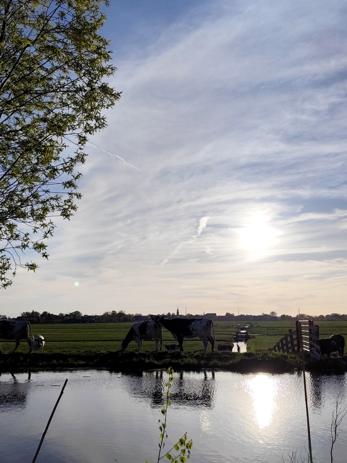 Afbeelding van MEERKOET | Kampeerplaats  >2000kg, caravan >6mtr