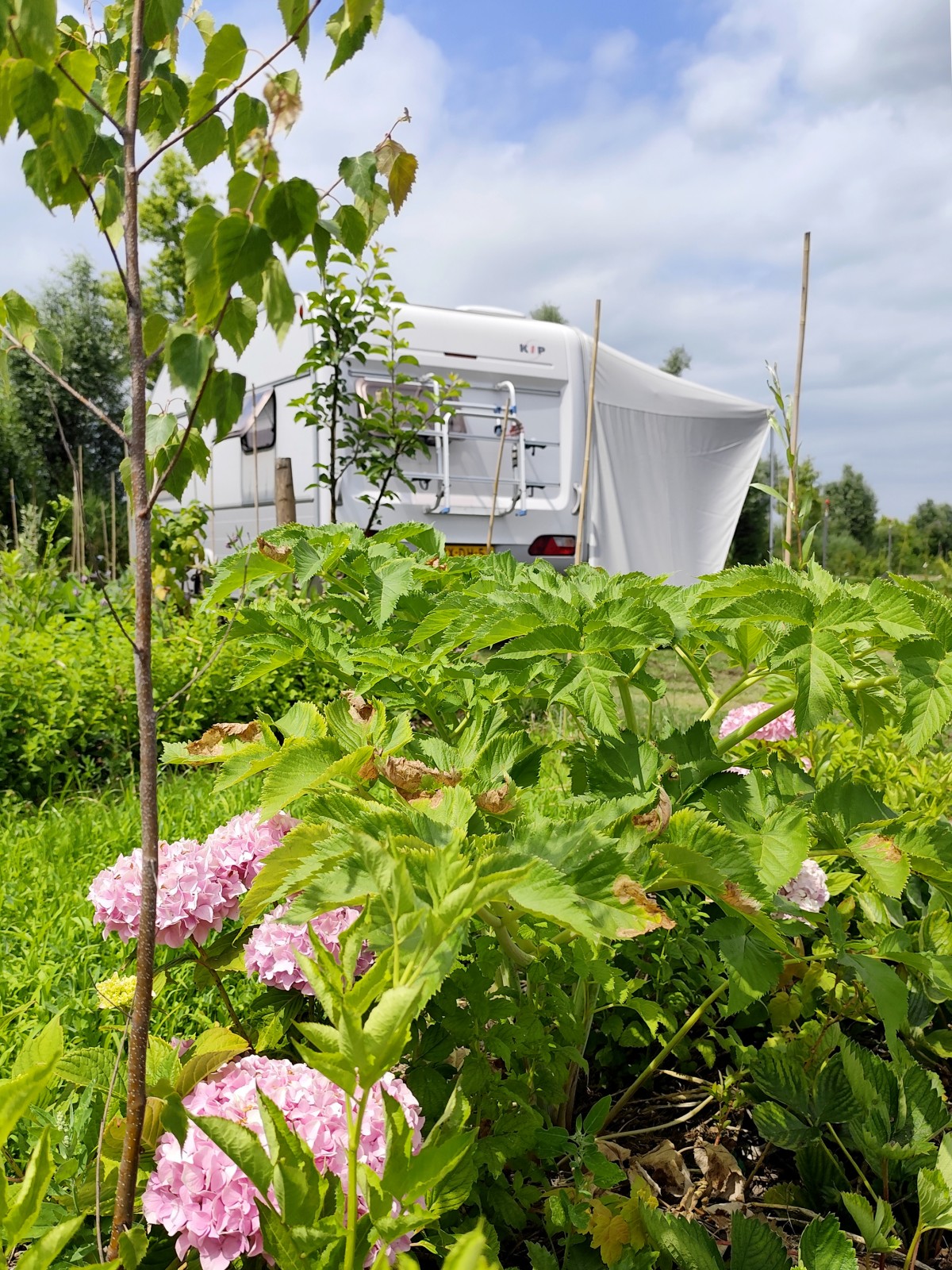 Afbeelding van VINK | caravan (max 6m), buscamper (max 2000kg)