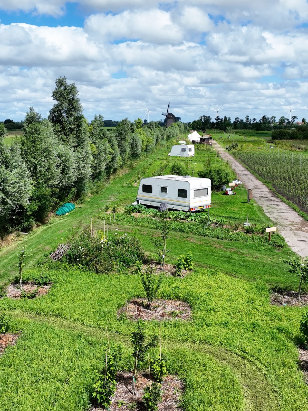 Afbeelding van ZILVERREIGER | caravan (max 6m), camper (max2000kg