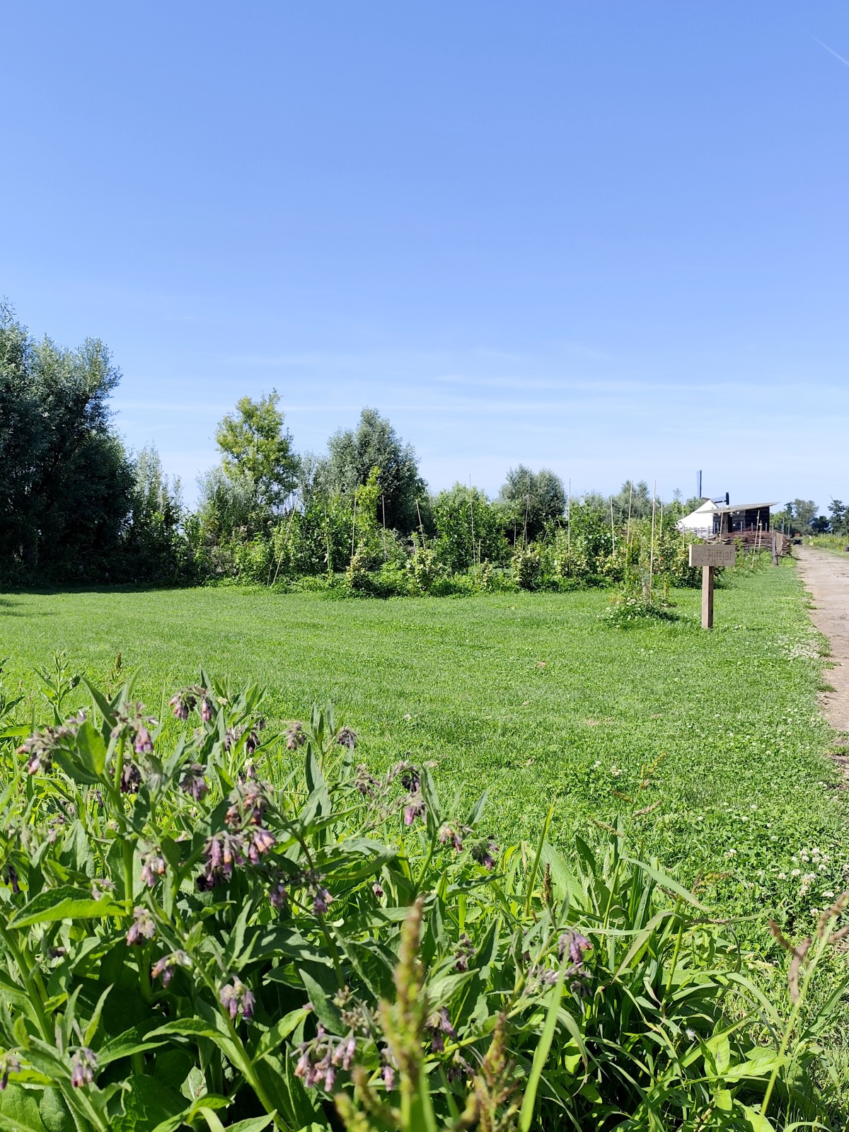 Afbeelding van TJIFTJAF | caravan (max 6m), buscamper (max 2000kg