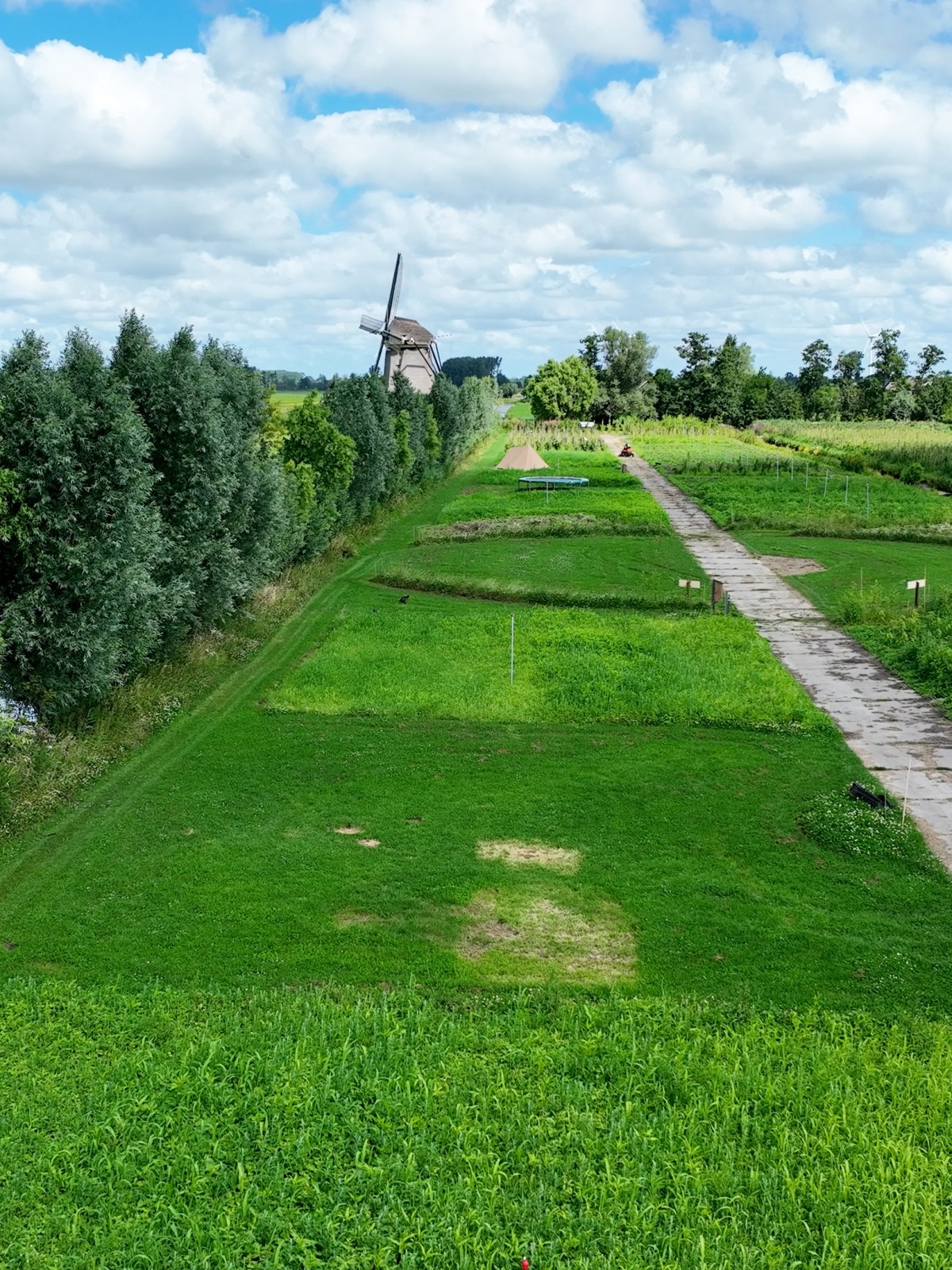Afbeelding van KRAKEEND | Kampeerplaats, tent