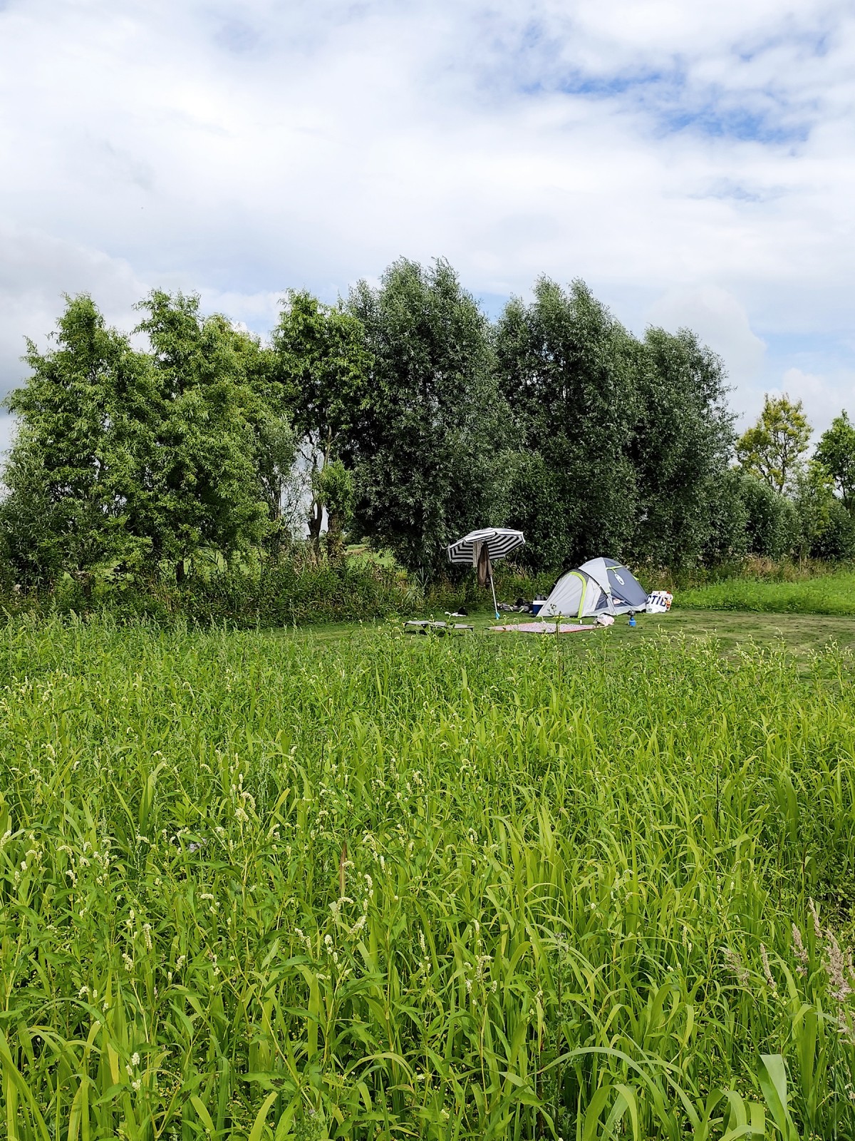 Afbeelding van KRAKEEND | Kampeerplaats, tent