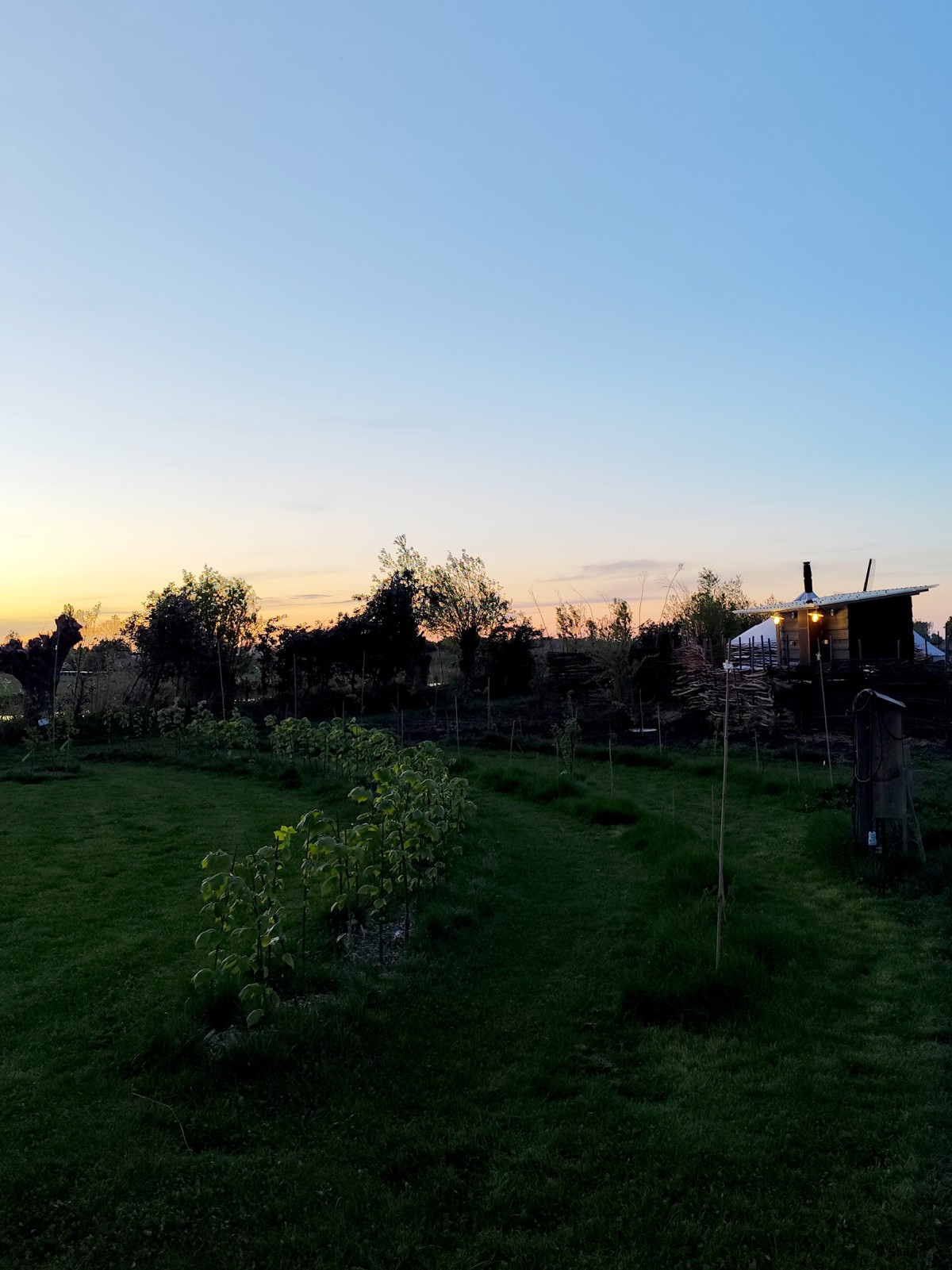 Afbeelding van RIETZANGER | Kampeerplaats, tent