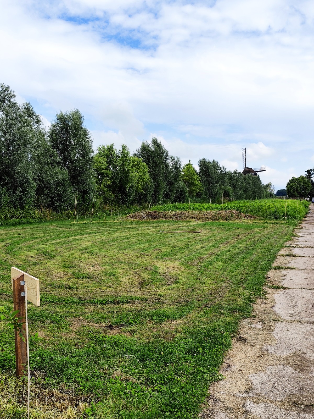 Afbeelding van SMIENT | Kampeerplaats, tent