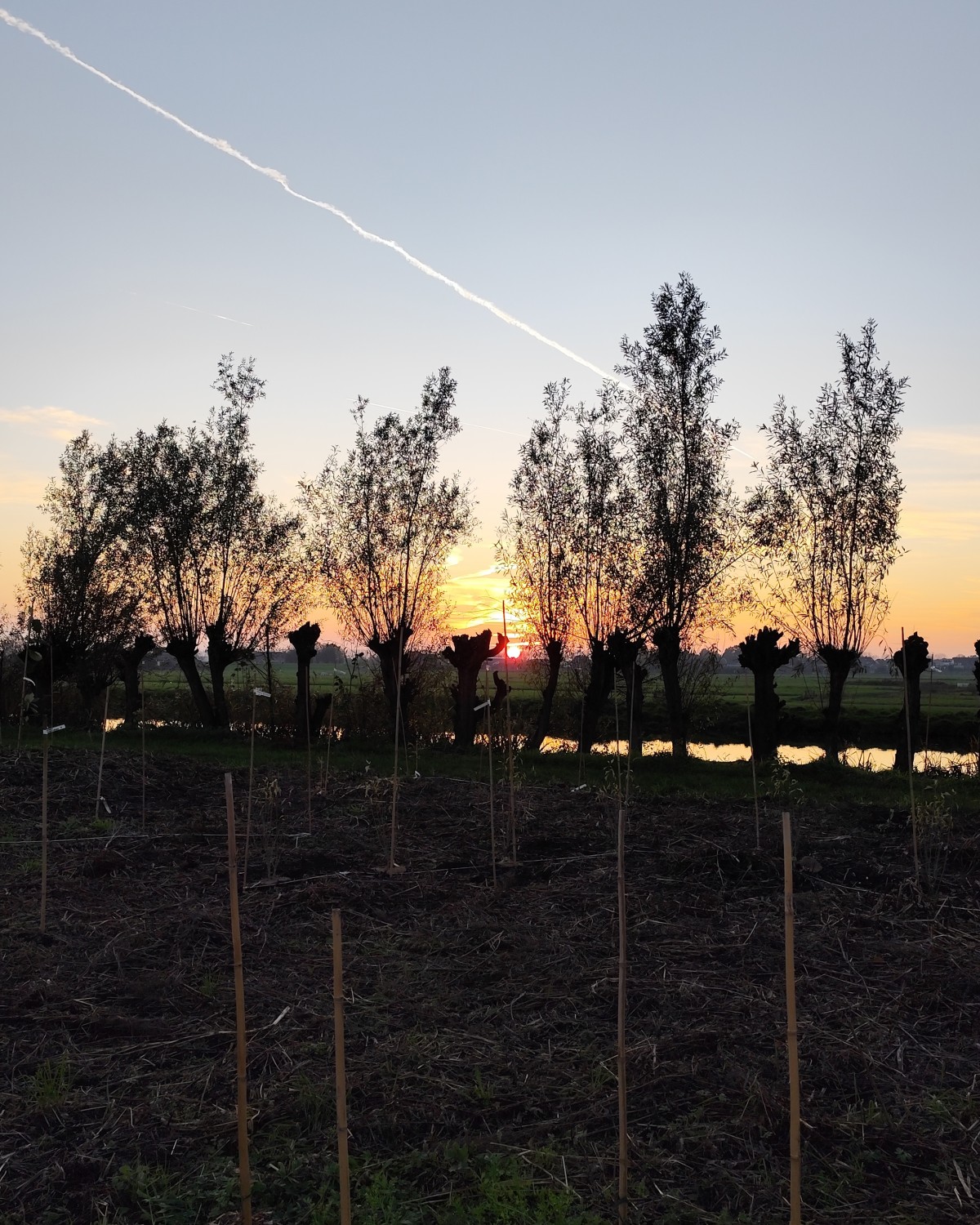 Afbeelding van SMIENT | Kampeerplaats, tent