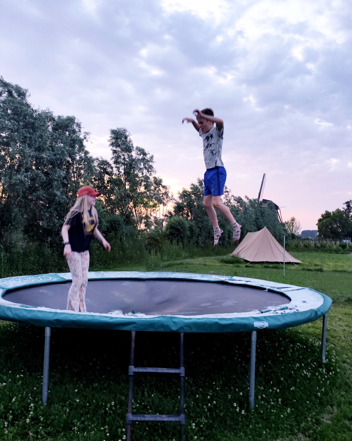 Afbeelding van ZWALUW | Kampeerplaats, tent